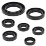 Vertex Pistons 822311 Vertex Gaskets 02-14 Honda TRX250TE Recon Oil Seal Kit
