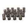 CHEVROLET PERFORMANCE GMP19154761 1.250 Valve Springs - SBC for 602 Crate Engine