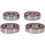 Pivot Works 25-1708-P Ducati Wheel Bearing Kit Premium Bearings