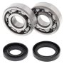 All Balls Racing 24-1025 01-04 Yamaha YZ125 Crank Shaft Bearing Kit