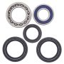 All Balls Racing 25-1139 00-04 Yamaha YFM250 Beartracker Wheel Bearing Kit Rear