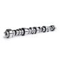 LS Hyd Roller Cam 3-Bolt .595 /.587 111 Degrees