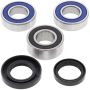All Balls Racing 25-1418 1999 Husqvarna CR125 Wheel Bearing Kit Rear