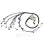 Rywire 02-04 K-Series RWD Mil-Spec Eng Harness w/02-04 Wiring/K-Pro ECU/S2K Trans/K-Series TB/Intake