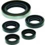 QuadBoss 564349 06-07 Polaris Outlaw 500 Oil Seal Set