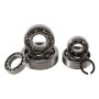 Hot Rods TBK0112 2005 Kawasaki KX 250 250cc Transmission Bearing Kit