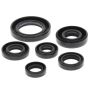 Vertex Pistons 822146 Vertex Gaskets 93-08 Honda TRX300 EX Oil Seal Kit