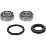 Pivot Works 25-1380-P Wheel Bearing Kit