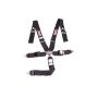 RJS SAFETY RJS1034901 5 PT Harness System Q/R Black Ind Wrap 3in Sub