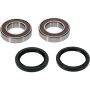 Pivot Works 25-1032-P Honda Wheel Bearing Kit Premium Bearings