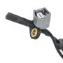 HOLSTEIN 2ABS3481 Renumbered to 2ABS3009