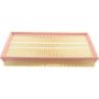 Autopart International Air Filter 500027954