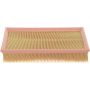 Autopart International Air Filter 500029253