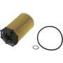 Autopart International Oil Filter 5001291813