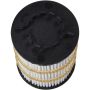 Autopart International Oil Filter 5001479748