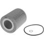 Autopart International Oil Filter 500167124