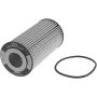 Autopart International Oil Filter 500198163