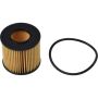 Autopart International Oil Filter 5011658682