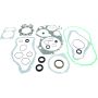 Vertex Pistons 811839 Vertex Gaskets 00-02 Arctic Cat 500 4x4 w/AT Complete Gasket Kit w/ Oil Seals