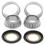 All Balls Racing 22-1006 Steering Bearing Kits