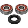 Pivot Works 25-1309-P Hyosung, Suzuki, Yamaha Wheel Bearing Kit Premium Bearings