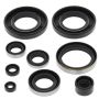 Vertex Pistons 822282 Vertex Gaskets 87-88 Kawasaki KXF250 Tecate Oil Seal Kit