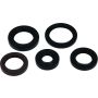 Vertex Pistons 822394 Vertex Gaskets 05-23 Polaris Phoenix 200 Oil Seal Kit