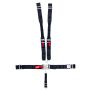 5-Pt Harness Big Latch Blk Hans Wrap Around Pul