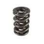 PAC RACING SPRINGS PACPAC-1248-1 1.645 Triple Valve Spring 1pk