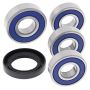 All Balls Racing 25-1598 04-06 Honda CBF250 (Euro) Wheel Bearing Kit Rear