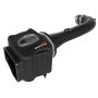 aFe Power 51-74110 Momentum GT Cold Air Intake System w/ Pro DRY S Filter