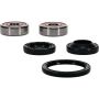 Pivot Works 25-1597-P Honda Wheel Bearing Kit Premium Bearings