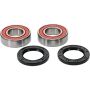 Pivot Works 25-1511-P Honda Wheel Bearing Kit Premium Bearings