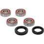 Pivot Works 25-1381-P Wheel Bearing Kit