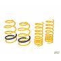mountune Sport Spring Set 14-15 Ford Focus ST
