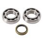 Hot Rods K055 07-09 RM-Z 250 Main Bearing & Seal Kit