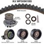 Dayco WP309K1BS Water Pump Kit