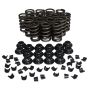 Howards Racing Components 98212-K12 Valve Spring Kit