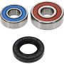 Pivot Works 25-1200-P Yamaha Wheel Bearing Kit Premium Bearings