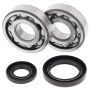 All Balls Racing 24-1019 89-93 Suzuki RM250 Crank Shaft Bearing Kit
