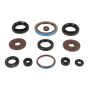 Vertex Pistons 822385 Vertex Gaskets 2011 Arctic Cat 1000 H2 LTD Oil Seal Kit