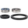 Pivot Works 25-1048-P Wheel Bearing Kit