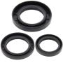All Balls Racing 25-2020-5 89-05 Kawasaki KLF300C Bayou 4x4 Differential Seal Only Kit Rear