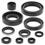 Vertex Pistons 822183 Vertex Gaskets 98-05 Kawasaki KX125 Oil Seal Kit