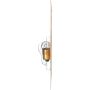 Philips 53B2 Philips Standard Miniature 53
