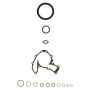 Ajusa 54074000 Conversion Set
