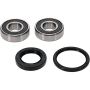 Pivot Works 25-1601-P BMW, Honda Wheel Bearing Kit Premium Bearings