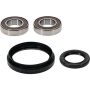 Pivot Works 25-1786-P Kawasaki Wheel Bearing Kit Premium Bearings