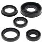 Vertex Pistons 822322 Vertex Gaskets 05-06 Polaris Predator 90 Oil Seal Kit