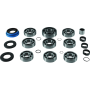 QuadBoss 566576 04-05 Polaris ATP 330 4x4 Transmission Rebuild Kit